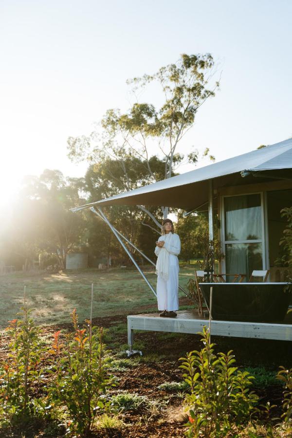 Canvs By Cabn Seppeltsfield Barossa Exterior photo